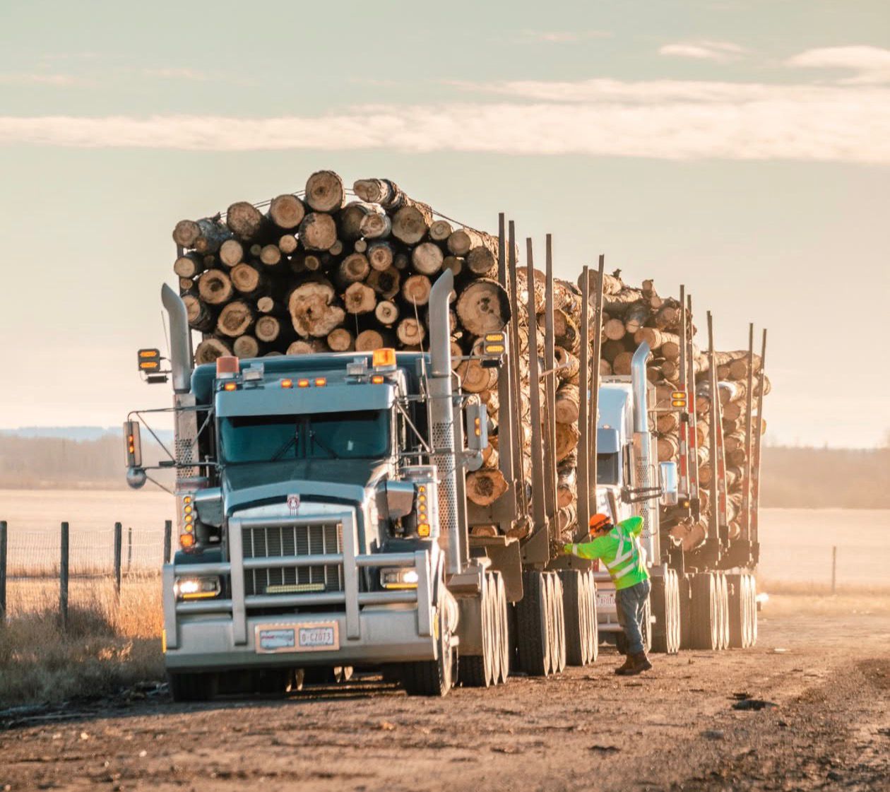 Timber delivery trucks loaded with logs